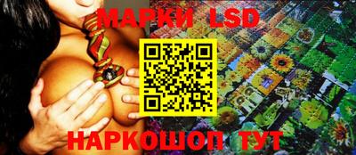 apvp Тверь