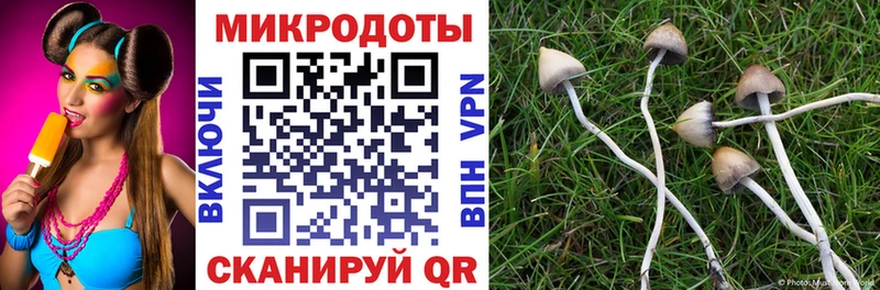 Галлюциногенные грибы Magic Shrooms  как найти   hydra онион  Новочеркасск 