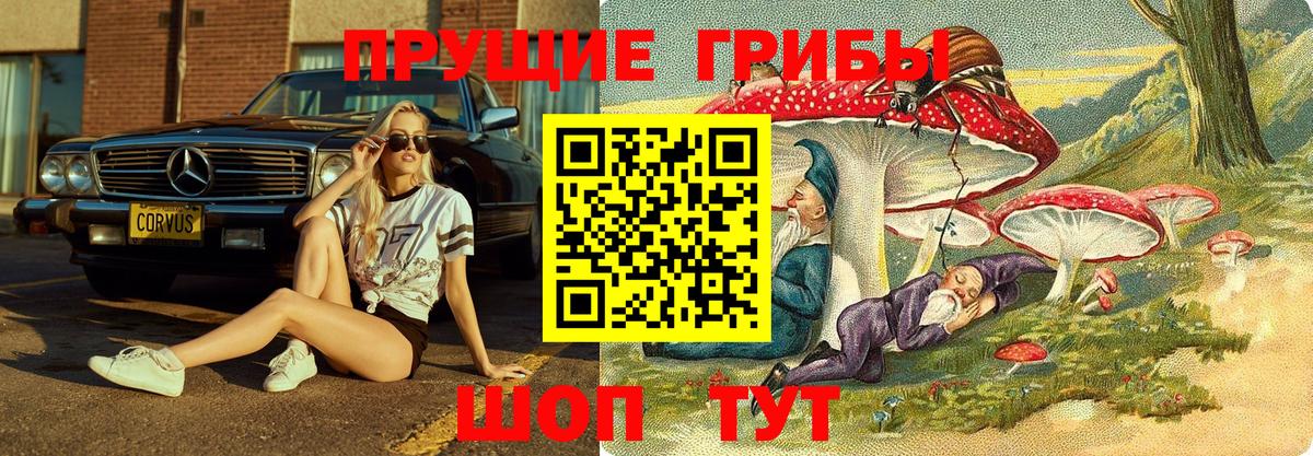 Новочеркасск  Псилоцибиновые грибы Magic Shrooms  Вход с VPN 